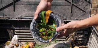 Sodexo refuerza su compromiso hacia el NetZero en el Día mundial de la reducción de CO2