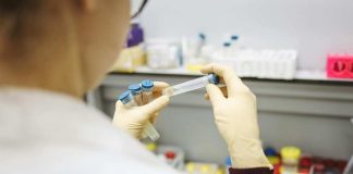 Académicas de la UTalca obtienen fondos para investigación