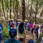 Adultos mayores del Cesfam Villa Nonguén vivieron experiencia de bienestar en Campus Naturaleza UdeC