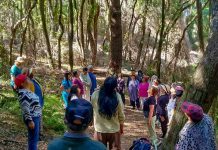 Adultos mayores del Cesfam Villa Nonguén vivieron experiencia de bienestar en Campus Naturaleza UdeC