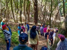 Adultos mayores del Cesfam Villa Nonguén vivieron experiencia de bienestar en Campus Naturaleza UdeC