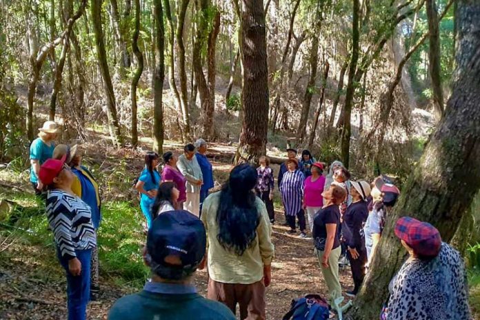 Adultos mayores del Cesfam Villa Nonguén vivieron experiencia de bienestar en Campus Naturaleza UdeC