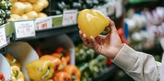 Altas temperaturas y alimentos: Evita intoxicaciones por comida en mal estado