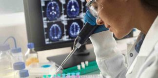 Con test menos invasivo: Científicos chilenos dan un paso más en la detección temprana del Alzheimer