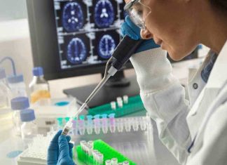 Con test menos invasivo: Científicos chilenos dan un paso más en la detección temprana del Alzheimer