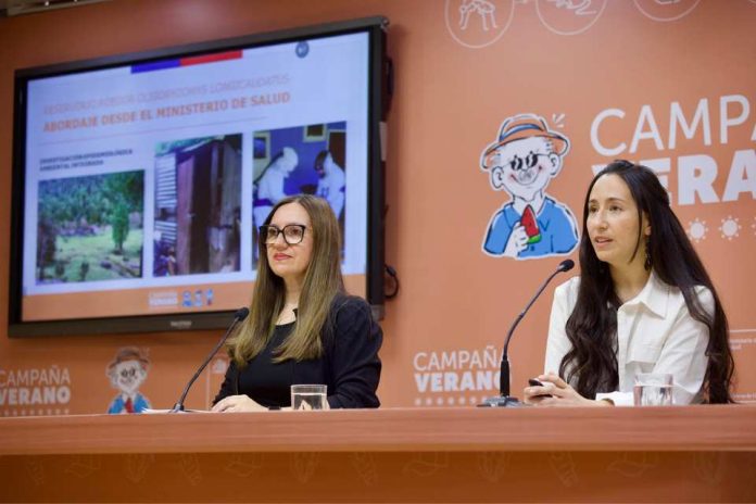 Minsal entrega recomendaciones para prevenir transmisión de Hantavirus durante el verano Minsal entrega recomendaciones para prevenir transmisión de Hantavirus durante el verano