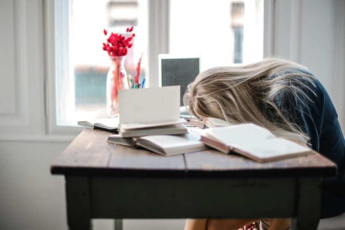 Políglota implementa el Día de Aterrizaje para mejorar la productividad y reducir el estrés post-vacaciones Políglota implementa el