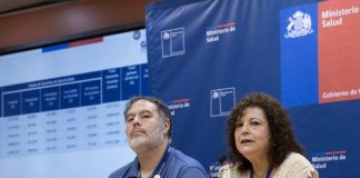 Subsecretaria (s) de Redes Asistenciales: “Hemos logrado un récord en consultas dentro de la APS”