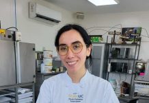 3 colaciones saludables y fáciles de preparar para este nuevo año escolar 3 colaciones saludables y fáciles de preparar para este nuevo año escolar