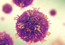 Sarampión: conoce más del virus que tiene en alerta a Argentina, Estados Unidos, Europa y Asia central 