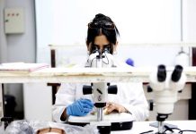 UCSC sube en Ranking Scimago e ingresa a tres nuevas subáreas de investigación e innovación UCSC sube en Ranking Scimago e ingresa a tres nuevas subáreas de investigación e innovación