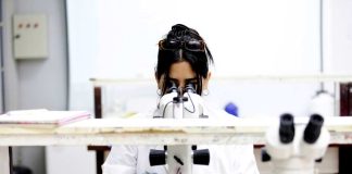 UCSC sube en Ranking Scimago e ingresa a tres nuevas subáreas de investigación e innovación
