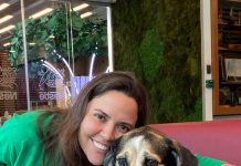 Un año de perritos en la oficina: La iniciativa que está mejorando la salud mental en el trabajo