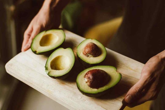 ¡Chilenos fanáticos de la palta! Conoce los beneficios de esta fruta ¡Chilenos fanáticos de la palta! Conoce los beneficios de esta fruta