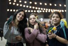 Adopción y tenencia responsable: Los grandes focos de Expo Mascotas & Animales 2025 Adopción y tenencia responsable Los grandes focos de Expo Mascotas & Animales 2025