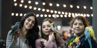 Adopción y tenencia responsable Los grandes focos de Expo Mascotas & Animales 2025