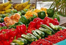 Alimentos con Vitamina C: clave para fortalecer las defensas frente a los virus de invierno Alimentos con Vitamina C: clave para fortalecer las defensas frente a los virus de invierno