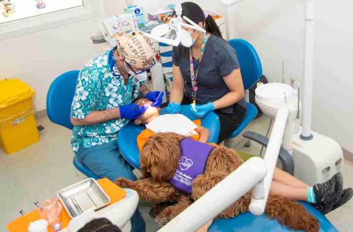 Ansiedad de niños frente a procedimientos dentales disminuye un 65% gracias a perros de asistencia Ansiedad de niños frente a procedimientos dentales disminuye un 65% gracias a perros de asistencia