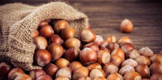 Avellanas: ¿por qué y cómo consumir el fruto seco de moda?