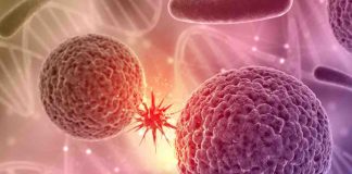 Bajan las temperaturas y suben los virus: Sepa como identificar el Virus Respiratorio Sincicial