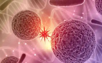 Bajan las temperaturas y suben los virus: Sepa como identificar el Virus Respiratorio Sincicial Bajan las temperaturas y suben los virus: Sepa como identificar el Virus Respiratorio Sincicial