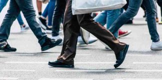 Científicos investigan cómo prevenir el Síndrome de Fragilidad en personas mayores