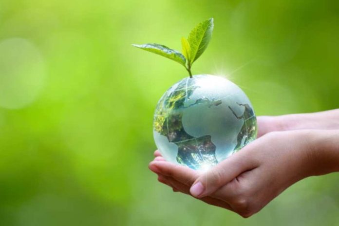 Día de la Tierra el planeta pide una transformación desde nuestros hábitos Día de la Tierra: el planeta pide una transformación desde nuestros hábitos