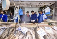 Autoridades de Salud Intensifican Fiscalización por Semana Santa en el Mercado Central Autoridades de Salud Intensifican Fiscalización por Semana Santa en el Mercado Central