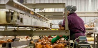 Higiene, trazabilidad y cumplimiento: los desafíos que enfrenta la industria alimentaria