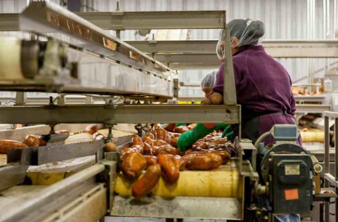 Higiene, trazabilidad y cumplimiento: los desafíos que enfrenta la industria alimentaria