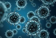 “Sobran periodistas, falta estrategia”: experto advierte deficiencias graves en las comunicaciones del Minsal en plena circulación de influenza “Sobran periodistas, falta estrategia”: experto advierte deficiencias graves en las comunicaciones del Minsal en plena circulación de influenza