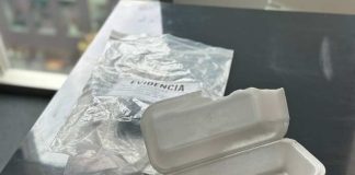 Informe de Oceana revela que contenedores de plumavit usados en alimentos son riesgosos para la salud humana