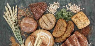 Investigadora de CREAS explica la importancia de la microbiota intestinal como “biosensor” natural de la alimentación