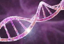 Investigadores de Mayo Clinic identifican una mutación genética medible como un predictor importante de metástasis y supervivencia en el cáncer de páncreas Investigadores de Mayo Clinic identifican una mutación genética medible como un predictor importante de metástasis y supervivencia en el cáncer de páncreas