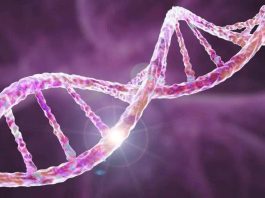 Investigadores de Mayo Clinic identifican una mutación genética medible como un predictor importante de metástasis y supervivencia en el cáncer de páncreas Investigadores de Mayo Clinic identifican una mutación genética medible como un predictor importante de metástasis y supervivencia en el cáncer de páncreas