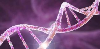 Investigadores de Mayo Clinic identifican una mutación genética medible como un predictor importante de metástasis y supervivencia en el cáncer de páncreas