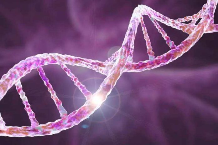 Investigadores de Mayo Clinic identifican una mutación genética medible como un predictor importante de metástasis y supervivencia en el cáncer de páncreas Investigadores de Mayo Clinic identifican una mutación genética medible como un predictor importante de metástasis y supervivencia en el cáncer de páncreas