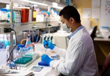 Investigadores de Mayo Clinic identifican una nueva diana en inmunoterapia para el cáncer de ovario Investigadores de Mayo Clinic identifican una nueva diana en inmunoterapia para el cáncer de ovario
