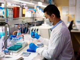 Investigadores de Mayo Clinic identifican una nueva diana en inmunoterapia para el cáncer de ovario Investigadores de Mayo Clinic identifican una nueva diana en inmunoterapia para el cáncer de ovario
