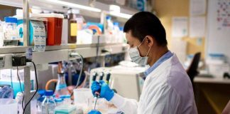 Investigadores de Mayo Clinic identifican una nueva diana en inmunoterapia para el cáncer de ovario
