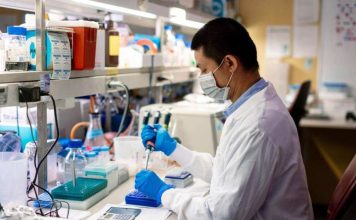 Investigadores de Mayo Clinic identifican una nueva diana en inmunoterapia para el cáncer de ovario Investigadores de Mayo Clinic identifican una nueva diana en inmunoterapia para el cáncer de ovario