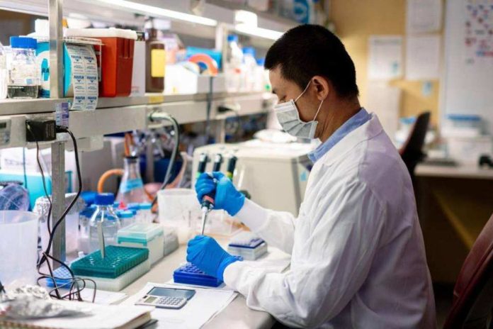 Investigadores de Mayo Clinic identifican una nueva diana en inmunoterapia para el cáncer de ovario