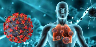 Las defensas también se entrenan (y el momento es ahora) Hábitos, nutrientes y acción oportuna para fortalecerlas