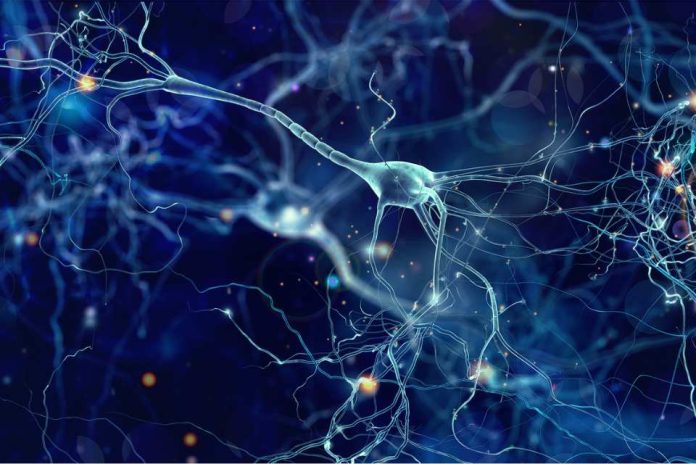 Mayo Clinic revela cambios en las células cerebrales que podrían explicar el síndrome de Tourette Mayo Clinic revela cambios en las células cerebrales que podrían explicar el síndrome de Tourette