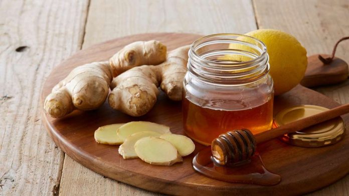 Otoño sin resfríos: Cómo incorporar alimentos para fortalecer tus defensas y mantenerte sano esta temporada Otoño sin resfríos: Cómo incorporar alimentos para fortalecer tus defensas y mantenerte sano esta temporada