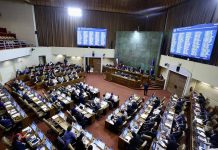 Por unanimidad se aprueba Proyecto de Ley sobre Enfermedades Poco Frecuentes Por unanimidad se aprueba Proyecto de Ley sobre Enfermedades Poco Frecuentes