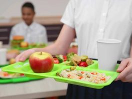 Rutina escolar: “3 claves para mantener una alimentación balanceada y mejorar el rendimiento”