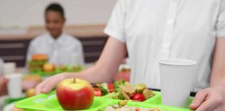 Rutina escolar: “3 claves para mantener una alimentación balanceada y mejorar el rendimiento”