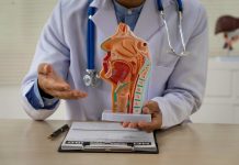 USM impulsa nuevo método para evaluar la biomecánica de la laringe USM biomecánica de la laringe