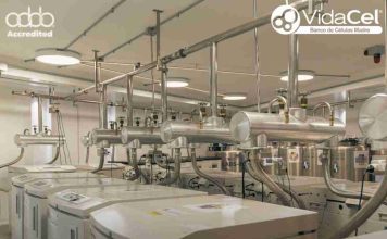 VidaCel: única institución chilena reacreditada 4 veces por AABB, en manejo de células madre VidaCel: única institución chilena reacreditada 4 veces por AABB, en manejo de células madre